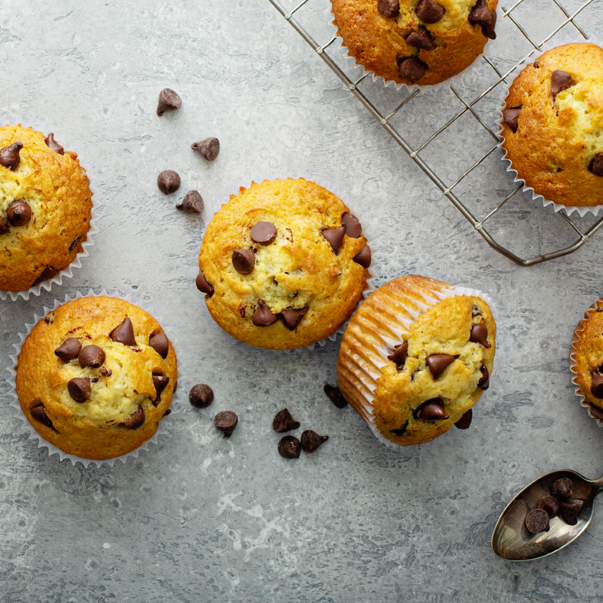 Dark Chocolate Chips 1M - 22 lb
