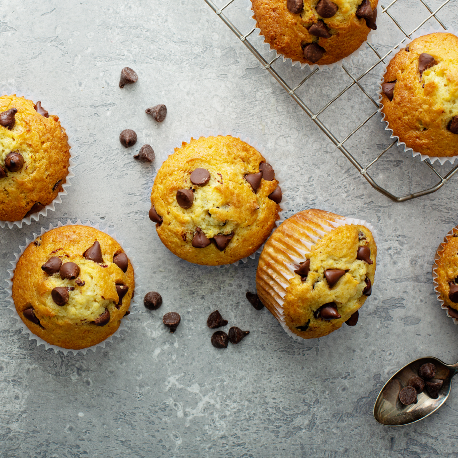 Dark Chocolate Chips 1M - 22 lb