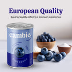 Blueberry Pie Filling - 610 g
