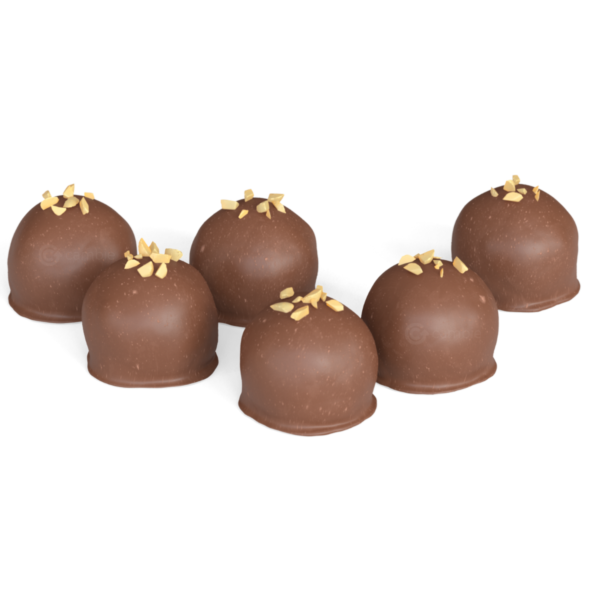 Cambie Milk Coating Chocolate - 5 lb